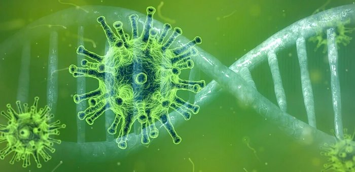 14 новых случаев заражения коронавирусом выявлено за сутки