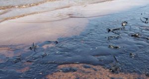 Полтонны мазута слил дальнобойщик на территории Онгудая Полтонны мазута слил дальнобойщик на территории Онгудая