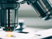 Новый вид ископаемых животных возрастом 450 млн лет нашли на Алтае Новый вид ископаемых животных возрастом 450 млн лет нашли на Алтае