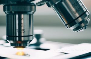 Новый вид ископаемых животных возрастом 450 млн лет нашли на Алтае Новый вид ископаемых животных возрастом 450 млн лет нашли на Алтае