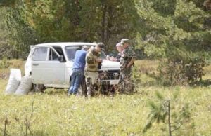 На Алтае начались рейды по пресечению незаконной заготовки кедрового ореха На Алтае начались рейды по пресечению незаконной заготовки кедрового ореха