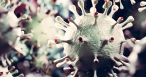 2020: столько случаев заражения коронавирусом выявлено на сегодня
