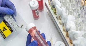 Семь новых случаев заражения коронавирусом выявили за сутки на Алтае