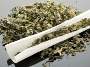 Горожанина будут судить за то, что собрал и покурил марихуану Горожанина будут судить за то, что собрал и покурил марихуану