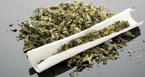 Горожанина будут судить за то, что собрал и покурил марихуану Горожанина будут судить за то, что собрал и покурил марихуану
