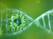 Коронавирус: 18 новых случаев за сутки Коронавирус: 18 новых случаев за сутки