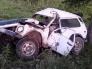 Недалеко уехал: пьяный сельчанин врезался в дерево на первом километре пути Недалеко уехал: пьяный сельчанин врезался в дерево на первом километре пути