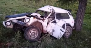 Недалеко уехал: пьяный сельчанин врезался в дерево на первом километре пути