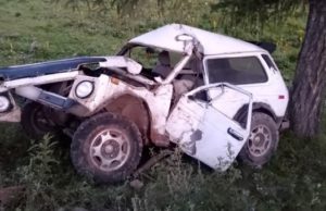 Недалеко уехал: пьяный сельчанин врезался в дерево на первом километре пути Недалеко уехал: пьяный сельчанин врезался в дерево на первом километре пути