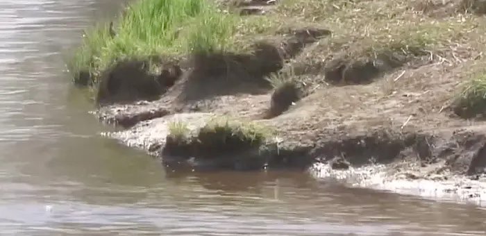 Следователи ведут проверку в связи с гибелью подростка в реке Майма