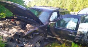 Местный лихач помешал добраться до Телецкого озера туристам из Забайкалья