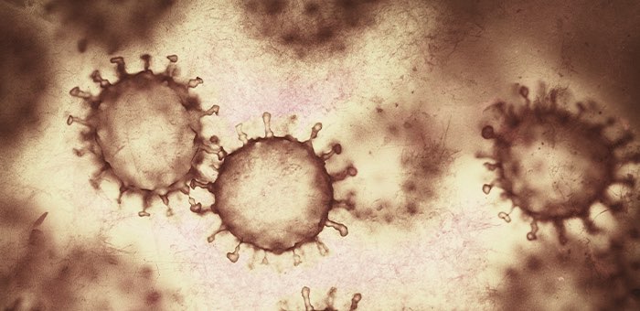 55 новых случаев заражения коронавирусом за сутки выявлено на Алтае