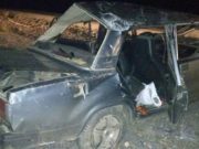 Очередное ДТП из-за лошади на дороге произошло на Алтае Очередное ДТП из-за лошади на дороге произошло на Алтае
