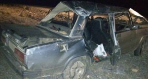 Очередное ДТП из-за лошади на дороге произошло на Алтае Очередное ДТП из-за лошади на дороге произошло на Алтае