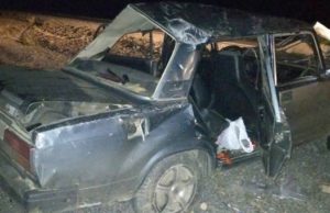 Очередное ДТП из-за лошади на дороге произошло на Алтае Очередное ДТП из-за лошади на дороге произошло на Алтае