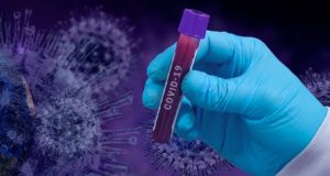 31 случай заражения коронавирусом выявлен за сутки на Алтае