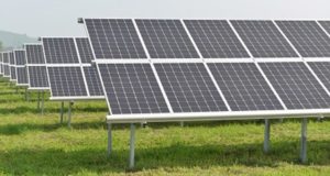 Солнечный путь Алтая