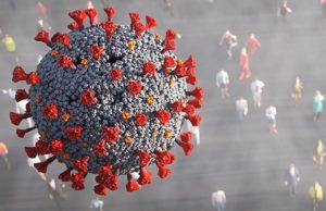 Установлен новый максимум: коронавирус за сутки выявлен у 70 человек Установлен новый максимум: коронавирус за сутки выявлен у 70 человек