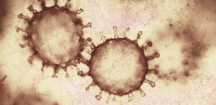 За сутки выявлено 70 случаев заражения коронавирусом