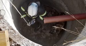 Пожарные спасли собаку и корову Пожарные спасли собаку и корову