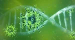65 новых случаев заражения коронавирусом выявлено за сутки