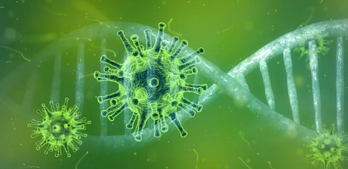65 новых случаев заражения коронавирусом выявлено за сутки
