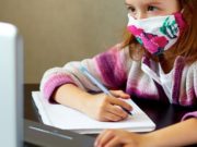 Девять школ переведены на дистанционное обучение Девять школ перешли на дистанционное обучение