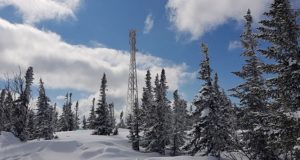 МегаФон запустил сеть 4G еще в семидесяти поселках Алтая