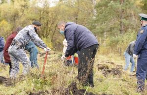 Около тысячи сеянцев кедра высажено во время акции «Сохраним лес» Около тысячи сеянцев кедра высажено во время акции «Сохраним лес»
