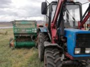 Пьяный тракторист насмерть задавил односельчанина Пьяный тракторист насмерть задавил односельчанина
