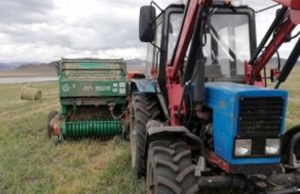 Пьяный тракторист насмерть задавил односельчанина Пьяный тракторист насмерть задавил односельчанина