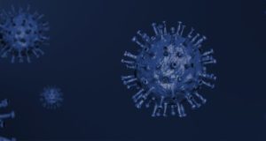 Новый максимум: 78 случаев заражения коронавирусом за сутки