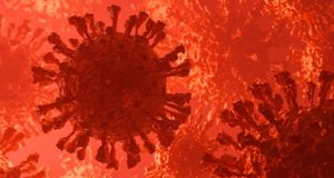 Пир во время ковида. Почему на Алтае возникла и не утихает вспышка коронавируса