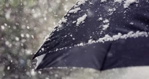 Мокрый снег прогнозируют синоптики в Республике Алтай