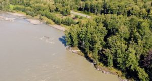 Как берег Катуни оказался в частной собственности. Ловкость рук и никакой пасеки