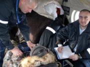 Свыше сотни вылетов совершила санавиация с начала года Свыше сотни вылетов совершила санавиация с начала года