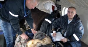 Свыше сотни вылетов совершила санавиация с начала года Свыше сотни вылетов совершила санавиация с начала года