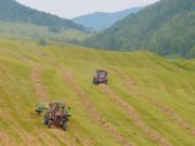 Хозяйства республики скосили более 56% запланированной кормовой площади Хозяйства республики скосили более 56% запланированной кормовой площади