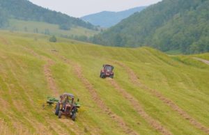 Хозяйства республики скосили более 56% запланированной кормовой площади Хозяйства республики скосили более 56% запланированной кормовой площади