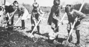 «С утра до вечера работали в колхозе, а ночью вязали варежки для фронта». Как дети Ойротии жили в годы войны