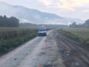 14-летний мальчик ночью на мотоцикле врезался в лошадь и попал в больницу