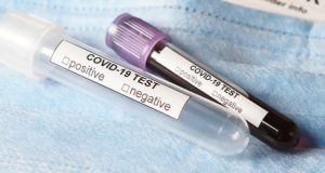 За сутки на Алтае выявили шесть случаев заражения коронавирусом