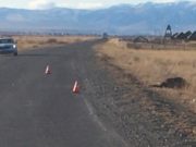 Байкер из Новосибирска врезался в лошадь в Кош-Агачском районе Байкер из Новосибирска врезался в лошадь в Кош-Агачском районе