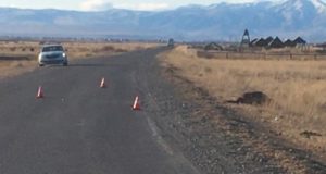 Байкер из Новосибирска врезался в лошадь в Кош-Агачском районе Байкер из Новосибирска врезался в лошадь в Кош-Агачском районе