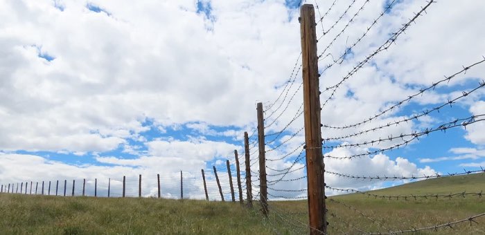 Восемь километров ограждений из колючей проволоки демонтировали на плато Укок