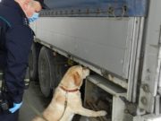 Что важно знать водителям международных грузовых транспортных средств Что важно знать водителям международных грузовых транспортных средств