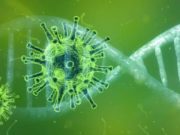 Более половины новых случаев коронавируса пришлись на Майминский район Более половины новых случаев коронавируса пришлась на Майминский район