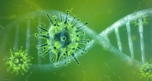 Более половины новых случаев коронавируса пришлась на Майминский район