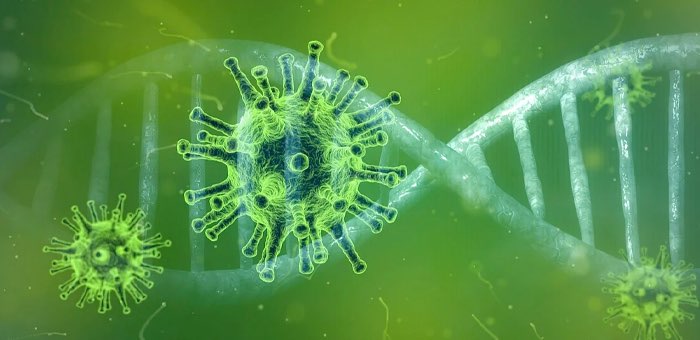 Более половины новых случаев коронавируса пришлись на Майминский район