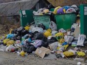 В Республике Алтай скорректируют «мусорную реформу» В Республике Алтай скорректируют «мусорную реформу»